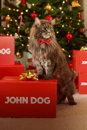 John Dog świąteczne must have dla kota