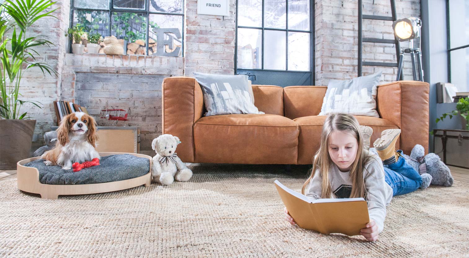 Spaniej siedzący w swoim legowisku w pokoju z małą dziewczynką