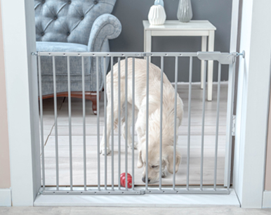 nauka samotności - zacznij trening z bramką