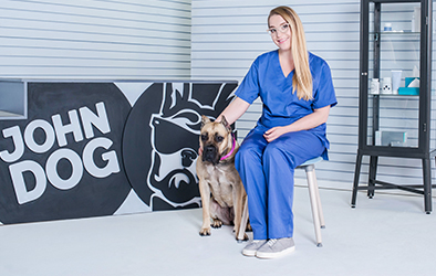 Ropomacicze, czyli ropne zapalenie macicy u psa - przyczyny, objawy, leczenie | blog John Dog