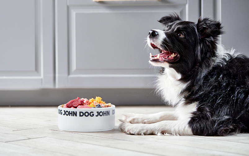 Pies rasy border collie o czarno-białym umaszczeniu leży przy białej ceramicznej misce z jedzeniem.