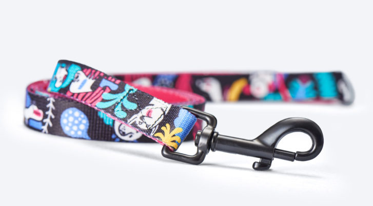 Kolorowa smycz prosta dla psa John Dog Barcelona New