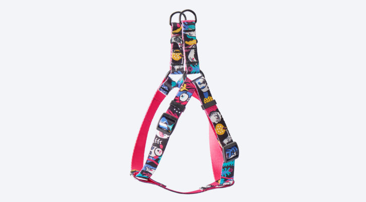 Kolorowe szelki walk in dla psa