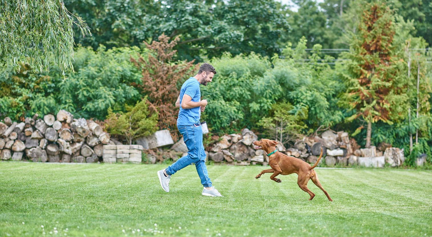 WYŻEŁ WĘGIERSKI KRÓTKOWŁOSY