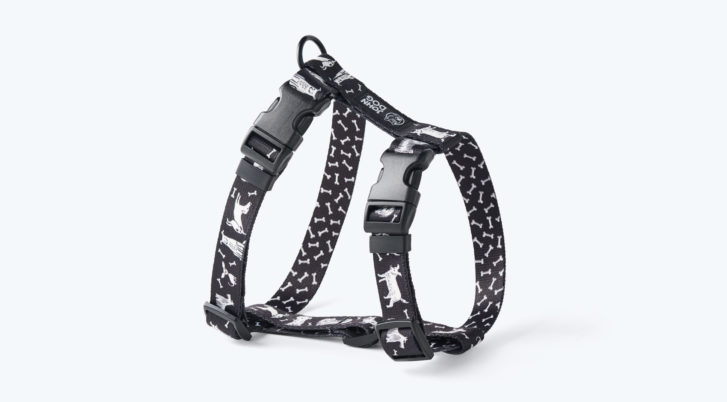 Szelki guard John Dog Black Comics