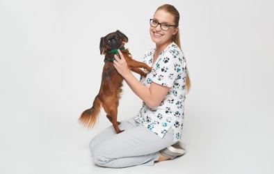 Jak poprawnie dbać o zdrowie i higienę psa?