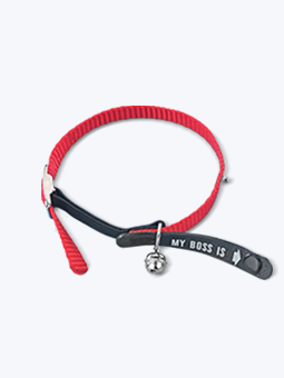 Obroża z gumką Nobby