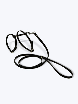 Szelki i smycz Jane Cat czarny