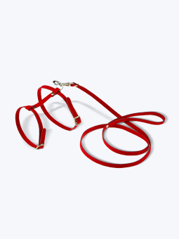 Szelki i smycz Jane Cat czerwony