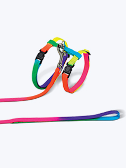 Szelki i smycz multikolor Nobby