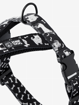 Szelki sled John Dog Black Comics