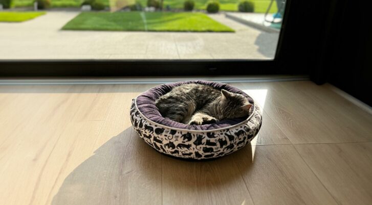 Legowisko dla kota, w kształcie oponki. Zewnątrz tkanina w biało-czarny autorski print z komiksowymi kotami, w środku miękka czarna tkanina. Marka John Dog for Cats.