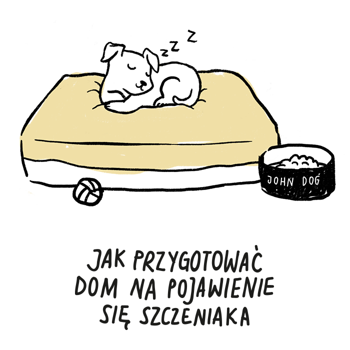 Jak przygotować dom na pojawienie się szczeniaka