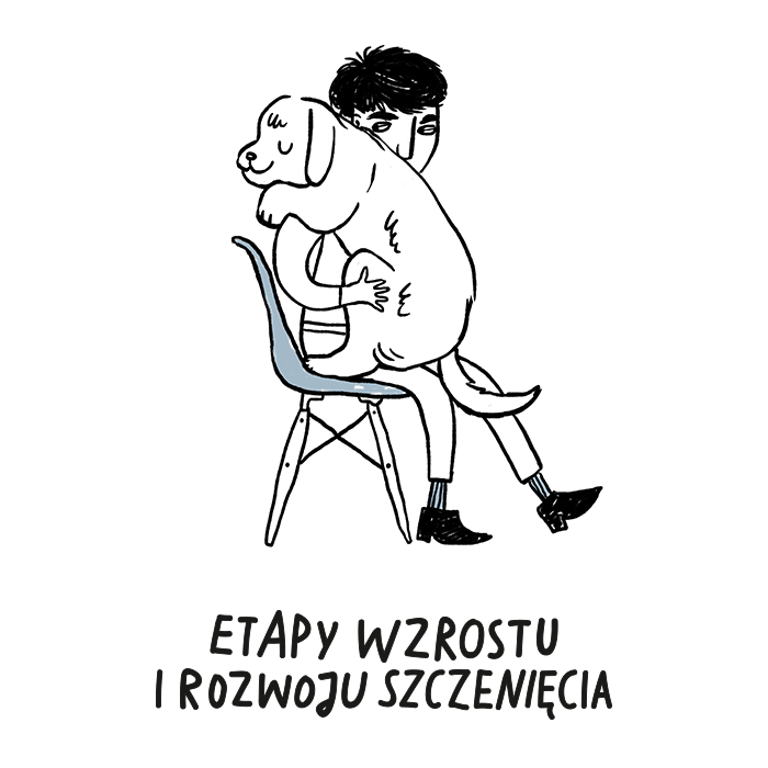 Etapy wzrostu i rozwoju szczenięcia