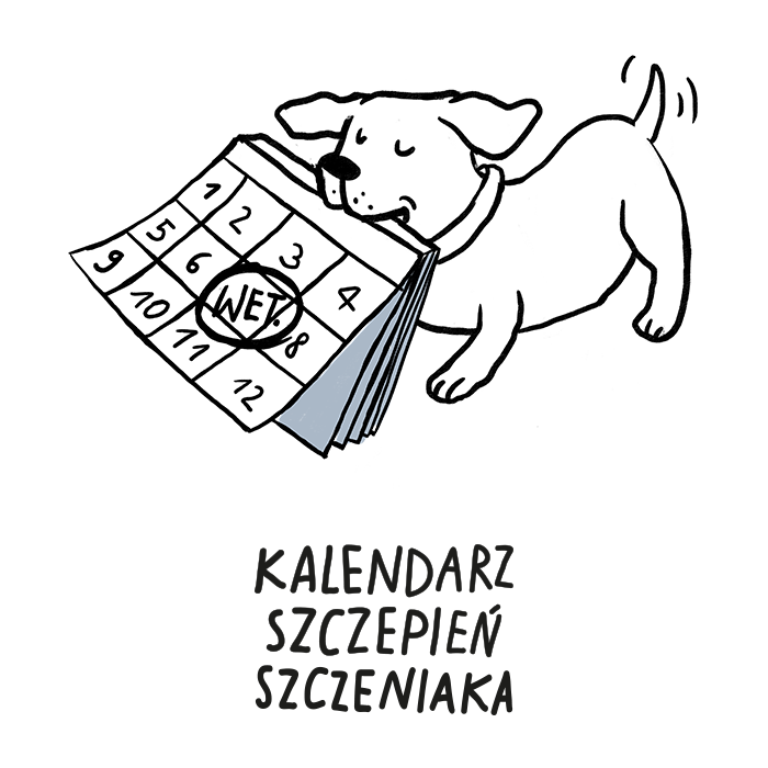 Kalendarz sczepień szczeniaka
