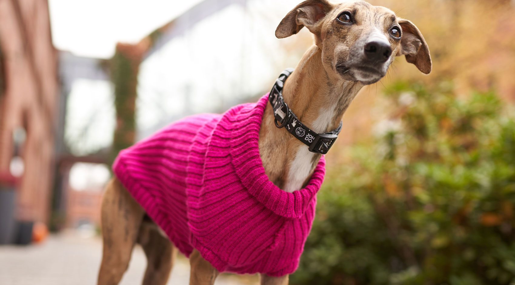 Sweterek dla psa John Dog New York rozowy