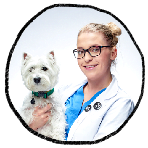 Lekarz weterynarii Małgorzata Glema