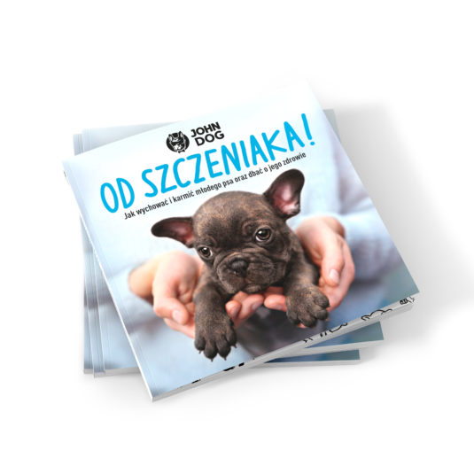 JD_Allegro_ksiazka_okladka