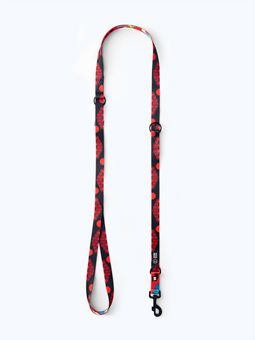 Smycz przepinana John Dog TOKYO_AJDP220ZD2524_L_2_popr