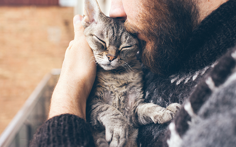 Właściciel z długą brodą trzyma kota na rękach, przytula go do siebie i całuje w pyszczek. Kot ma zamknięte oczy i przytula się do właściciela.