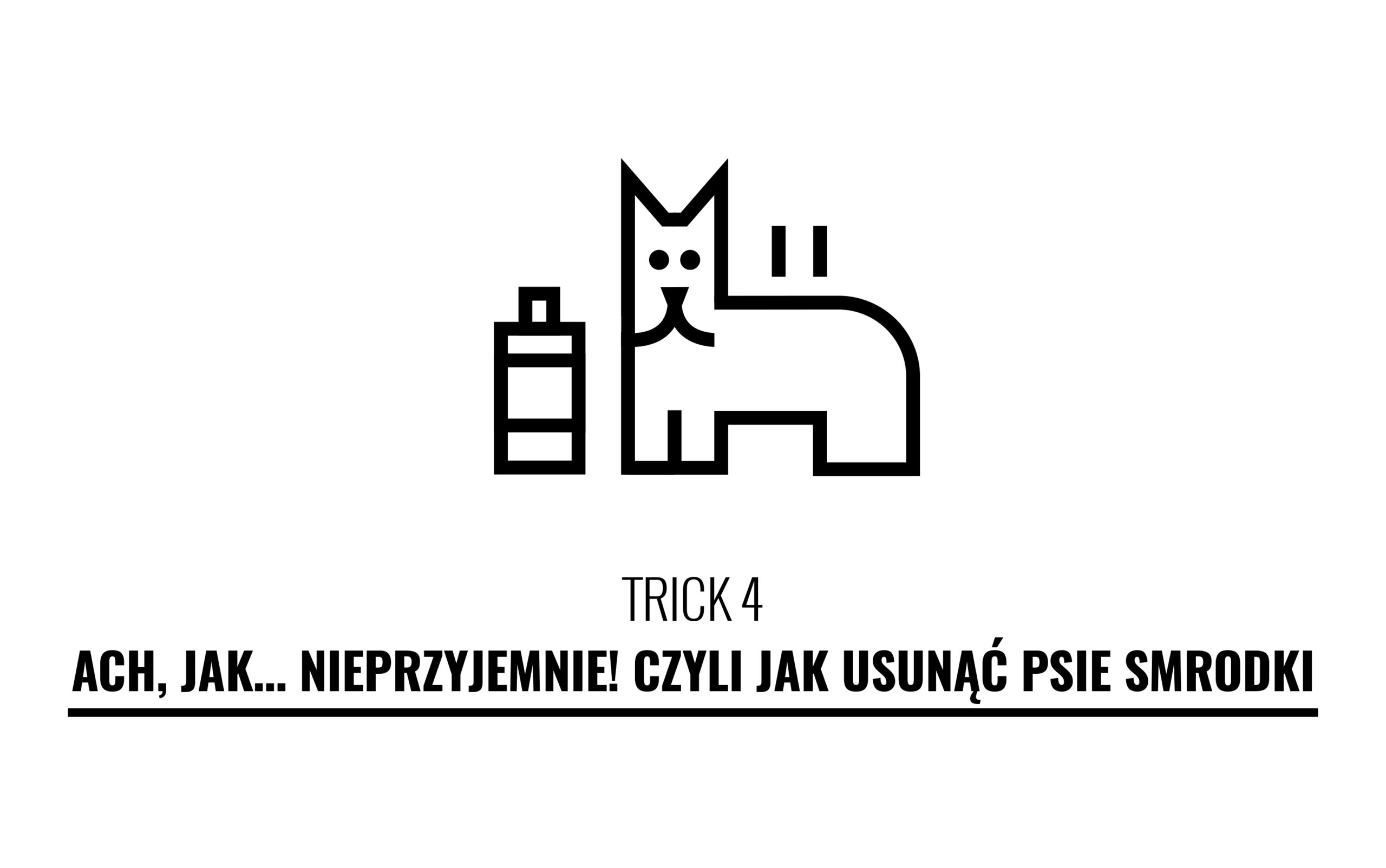 Trik 4. Ach, jak… nieprzyjemnie! Czyli jak usunąć psie smrodki