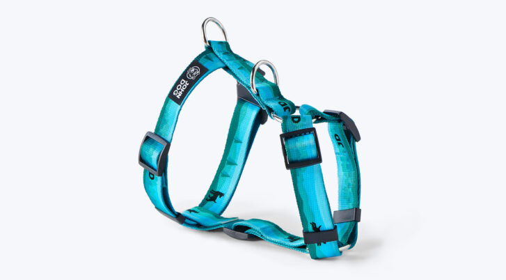 Szelki dla psa z kolekcji City w kolorze niebieskim z literkami JD i wzorkiem w małe pieski.