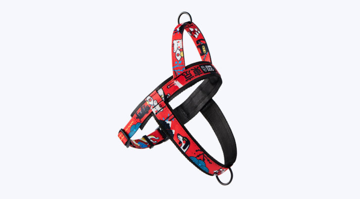 Szelki norweskie dla psa w kolorze Czerwono-czarnym marki John Dog z kolekcji Tokyo z kolorowymi wzorami orientalnymi.