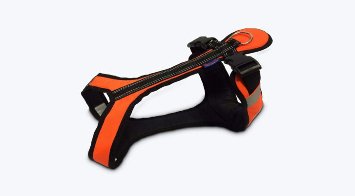 Zbliżenie na szelki dla psa do biegania.