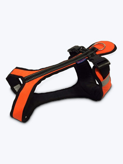 Szelki dla psa do biegania.