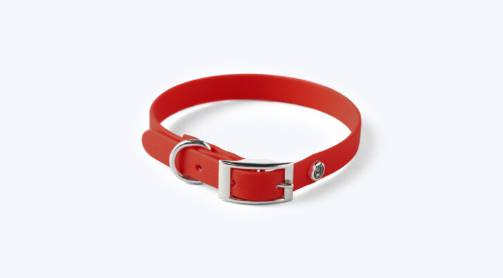 Obroża wodoodporna w kolorze cukierkowa czerwień z logotypem John Dog o szerokości 1,5 cm.