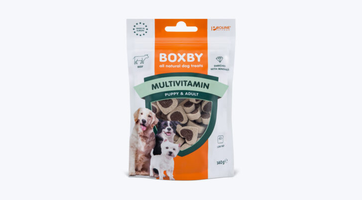 Saszetka przysmaków z witaminami o smaku wołowiny dla psów