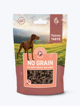 Naturalny, bezzbożowy przysmak dla psa z łososiem w kształcie kosteczek marki Natures Taste, opakowanie