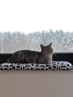 Kot leży na parapecie na legowisku John Dog for Cats