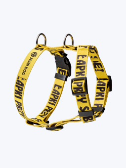 Żółte szelki typu guard dla psa, który potrzebuje przestrzeni z kolekcji John Dog Łapki przy sobie