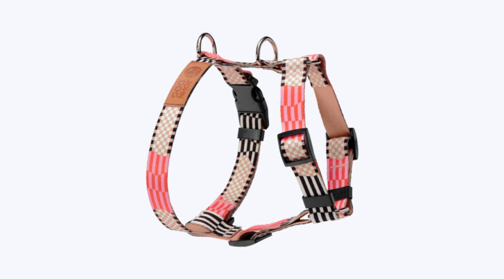 Szelki typu guard dla psa z kolekcji John dog Paris