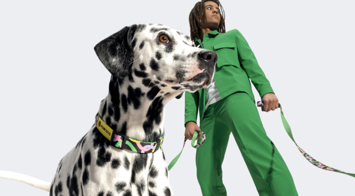 Dalmatyńczyk w obroży dla psa John Dog Twist na smyczy z opiekunem