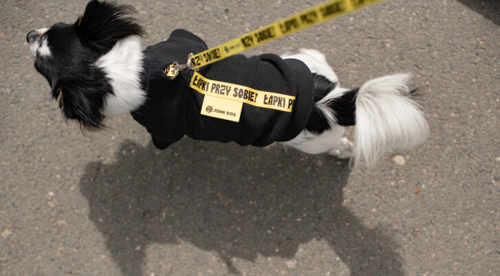 Pies w bluzie z mikropolaru na smyczy z kolekcji Łapki przy sobie John Dog