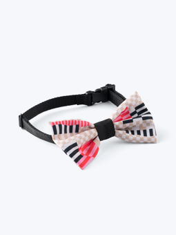 Elegancka muszka dla psa z kolekcji John Dog Paris