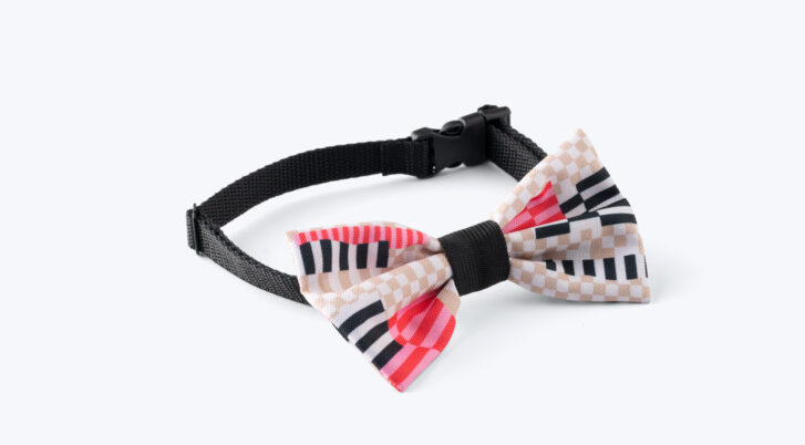 Elegancka muszka dla psa z kolekcji John Dog Paris