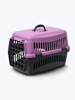 Fioletowy transporter dla kota lub małego psa marki Bukle