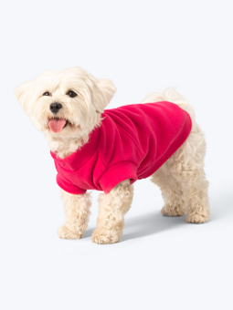 Pies rasy Maltańczyk ubrany w różową bluzę polarową dla małego psa marki John Dog