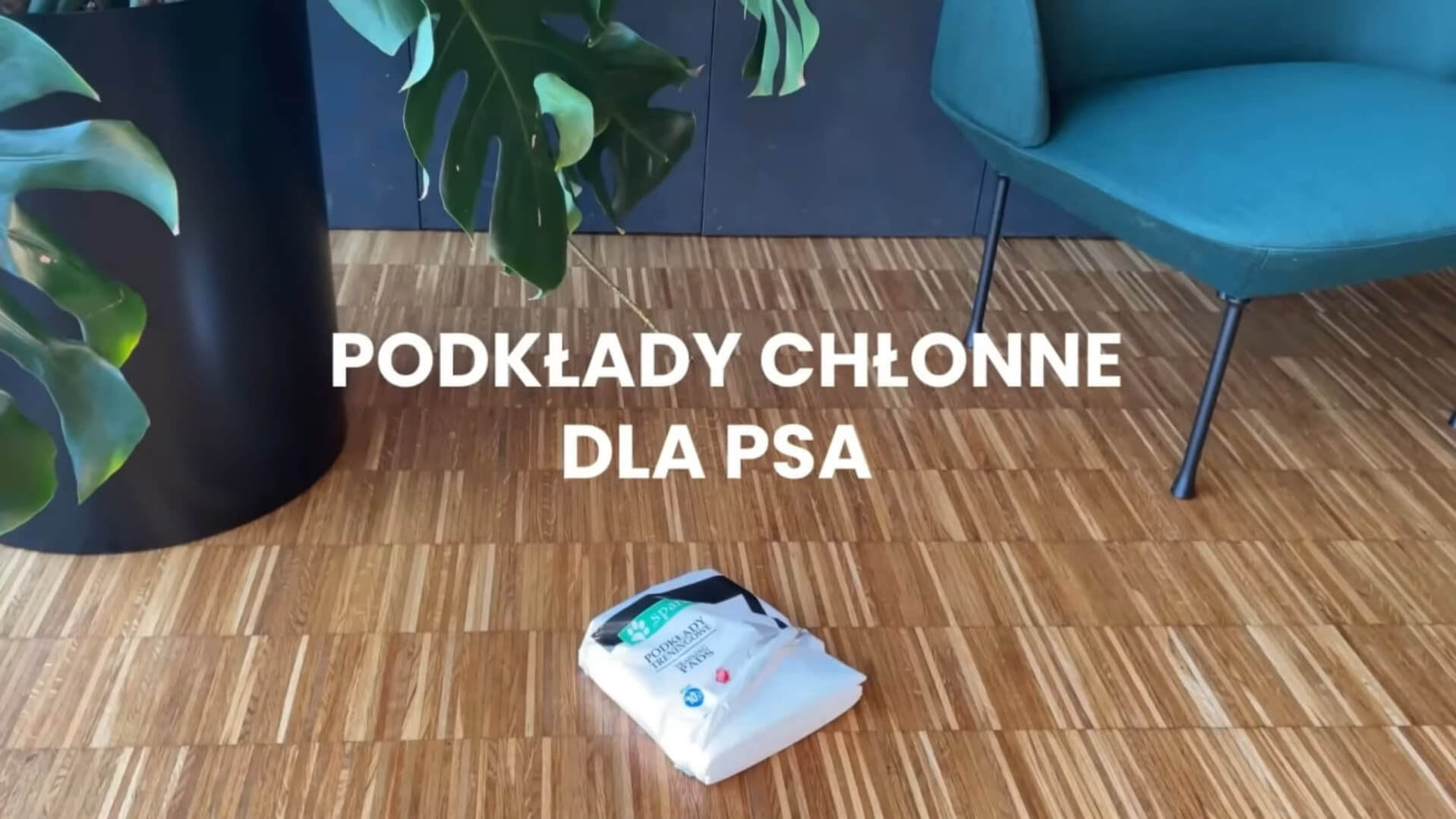 Podkłady chłonne dla psa do treningu czystości marki Spark, video