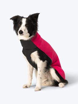 Siedzący pies rasy Border Collie ubrany w różową bluzę polarową dla psa marki John Dog