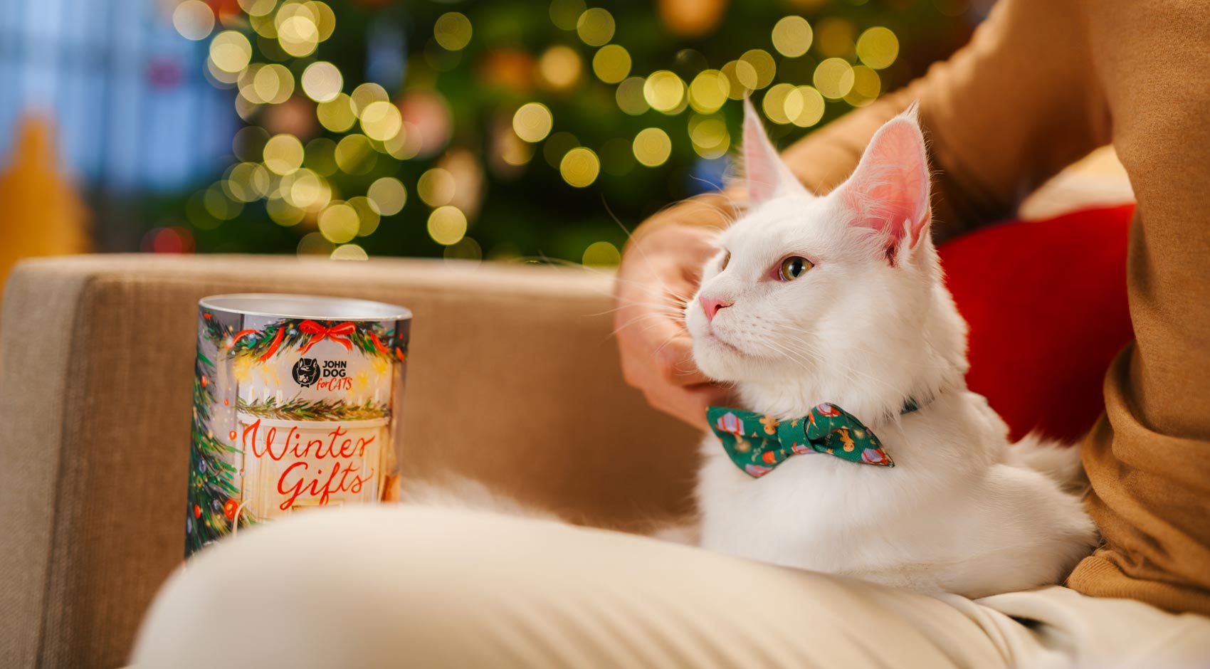 Biały kot w zielonej świątecznej muszce z zestawem prezentowym od John Dog