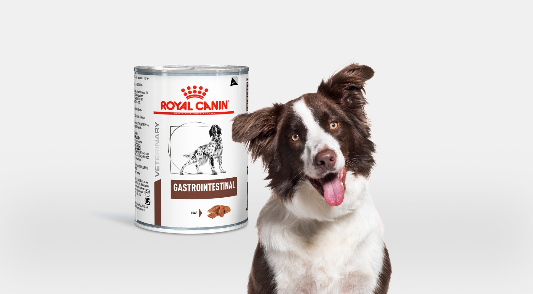 Karma mokra dla psa Royal Canin Gastro Intestinal 400 g - obrazek 3