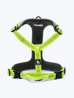 Szelki guard Truelove Lumen w kolorze żółtym dla psa, widok z przodu.