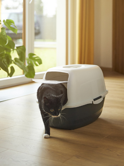 Kot w małej, zamkniętej kuwecie kolor piaskowy i czarny marki Rotho