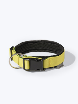 Obroża dla psa z kolekcji Colour marki John Dog, żółto-czarna, podszyta siatką.