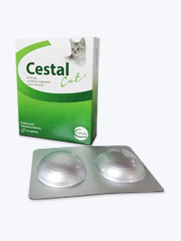 Tabletki przeciwpasożytnicze dla kotów, widok opakowania i blistra, marki Cestal Ceva.