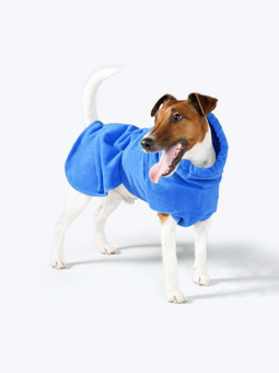 Pies rasy Foxterrier w miękkim, niebieskim szlafroku dla psa marki John Dog